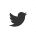 twitter-icon